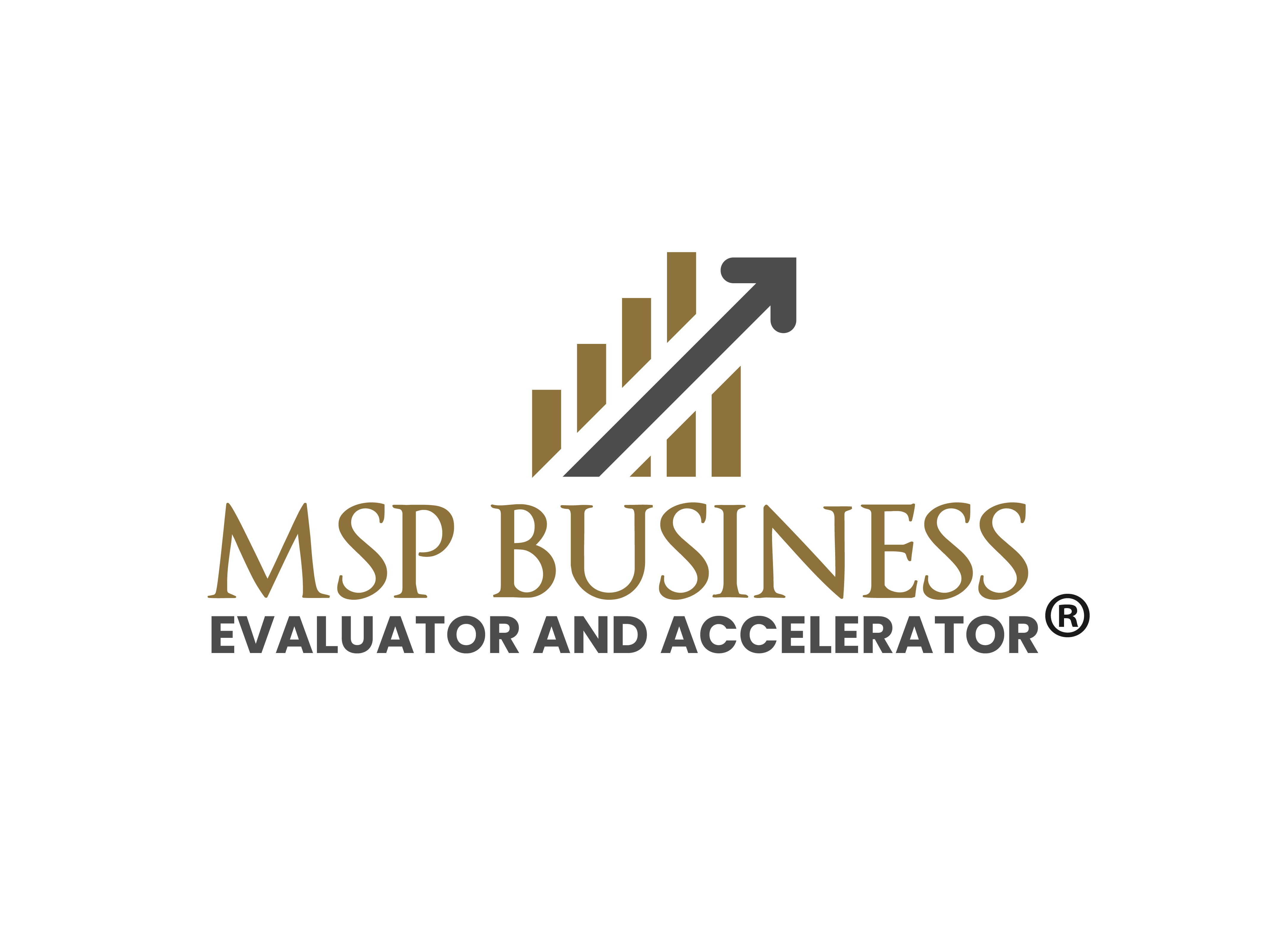 MSP Business Evaluator and Accelerator-02